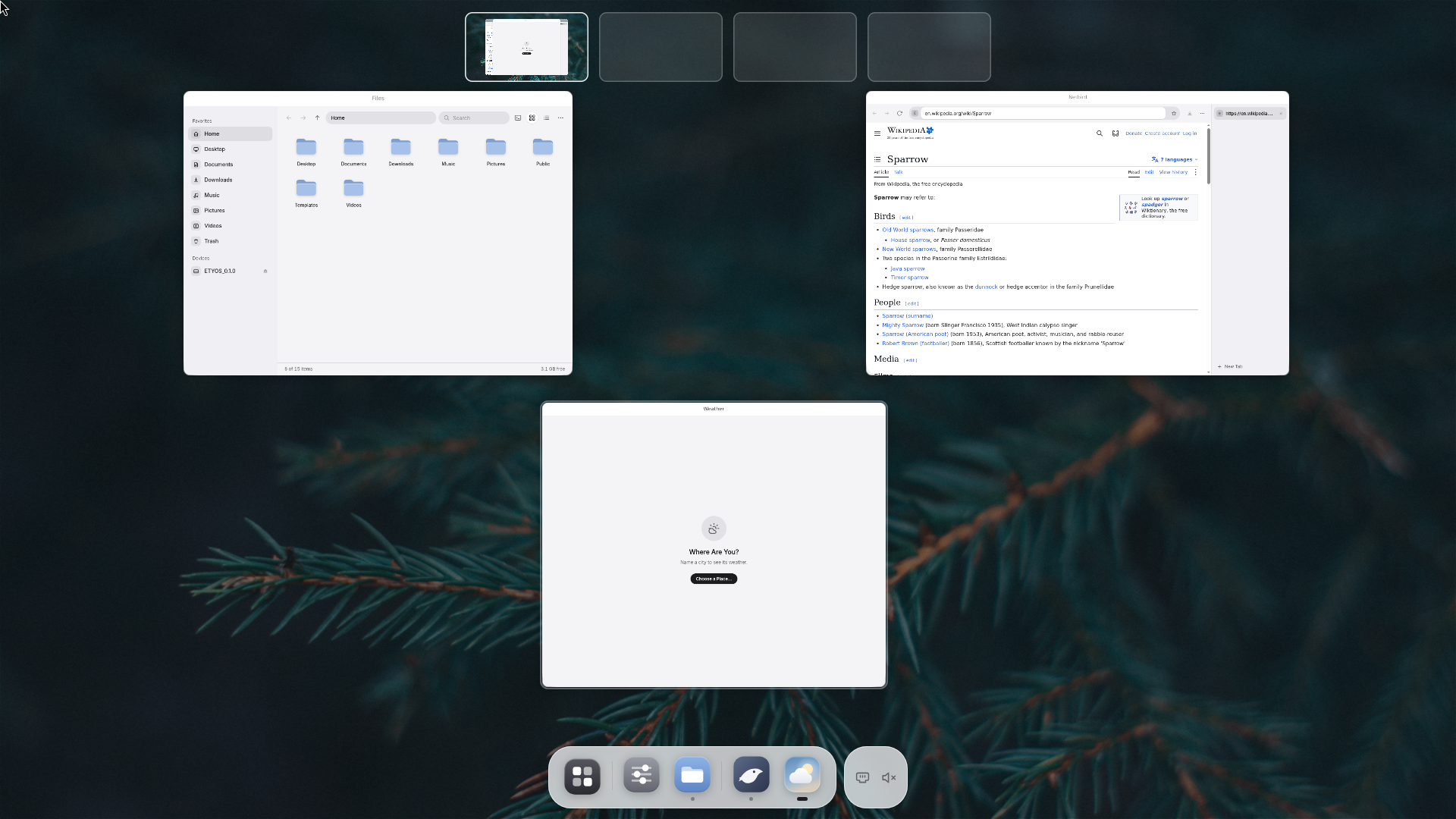 The overview: every open window, scaled to fit the screen